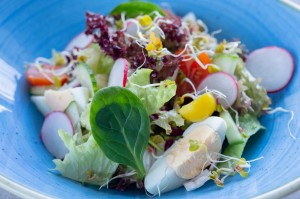 Wiosenny mix sałat z jajkiem i nowalijkami (1 kg)